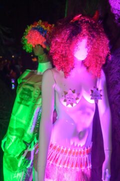 Photos by Michael Troutman (138/365)